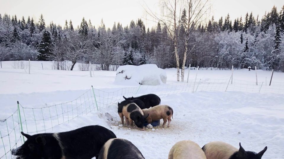 Lär om hållbarhet och klimat i naturbrukskurser