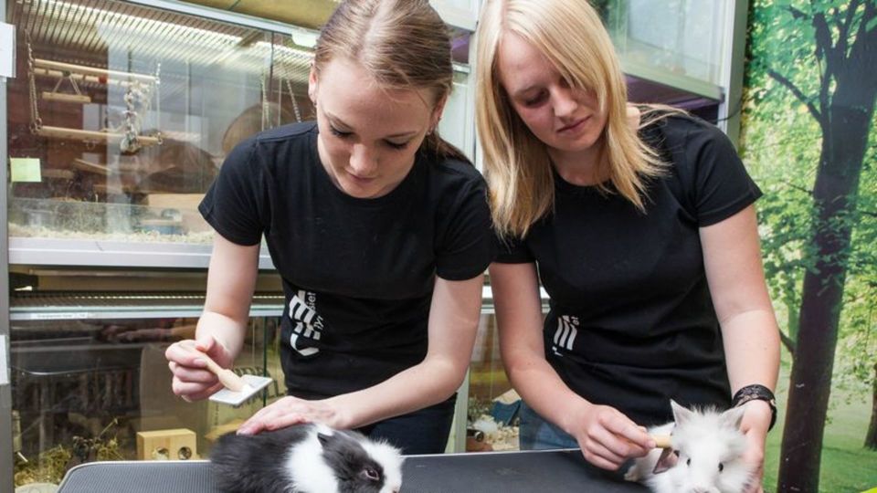 Vi ger dig ökade möjligheter till sommarjobb och jobb efter examen.