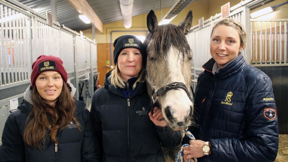 Eleverna utbildas på fina ridskolehästar 