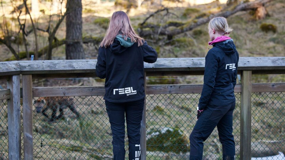 Elever på Realgymnasiet bidrar till arbetet med att bevara utrotningshotade djur på Kolmårdens Djurpark