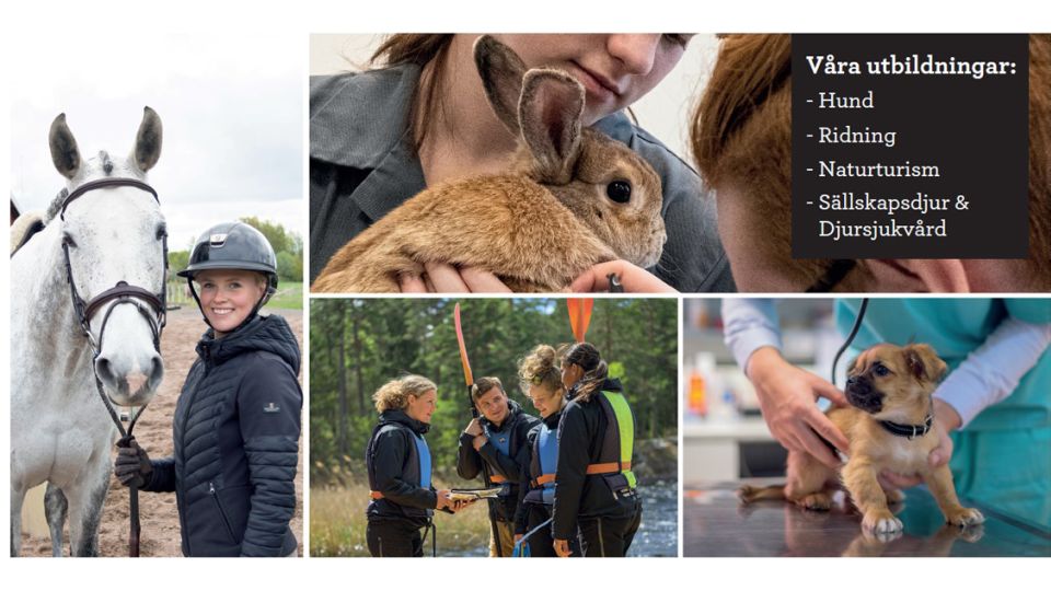 Våra utbildningar i Skövde