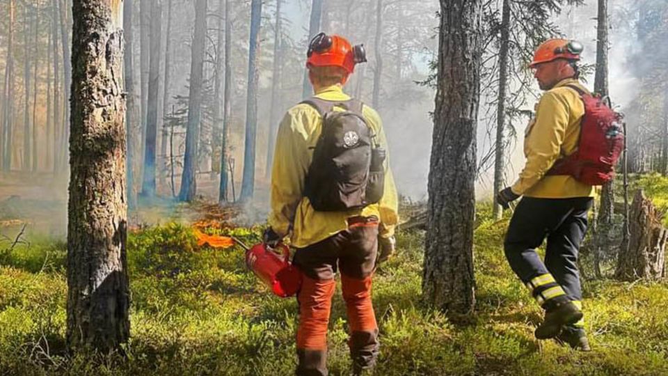 Naturturism utför naturvårdsbränningar 