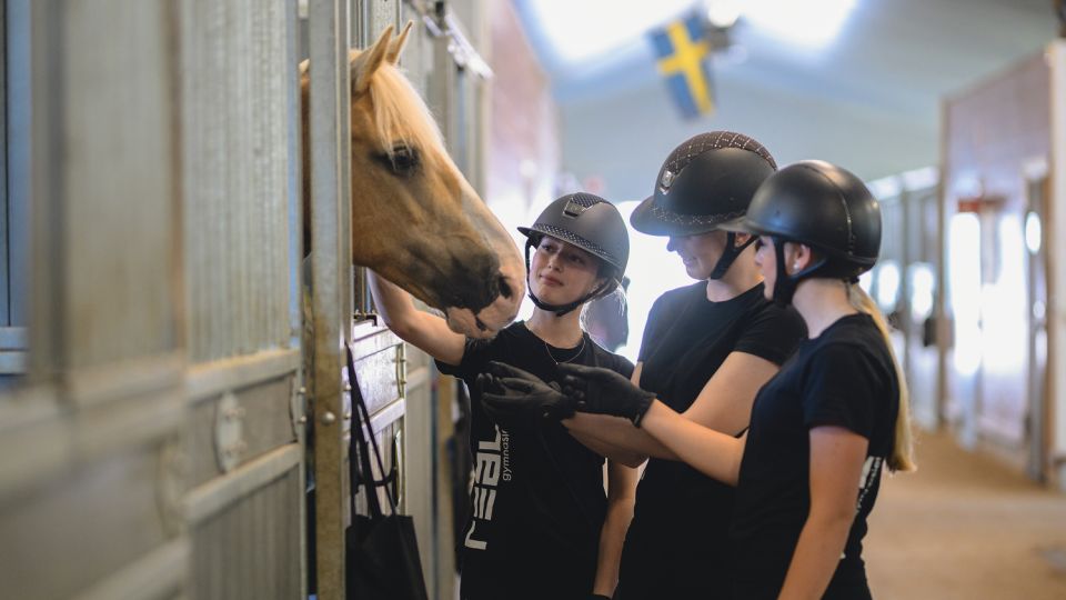 Elever medverkar i forskningsprojekt om hästvälfärd!    