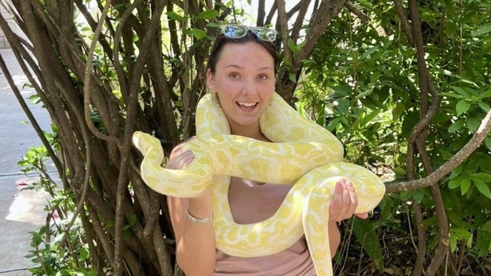 APL på Hoedspruit Reptile Centre i Sydafrika