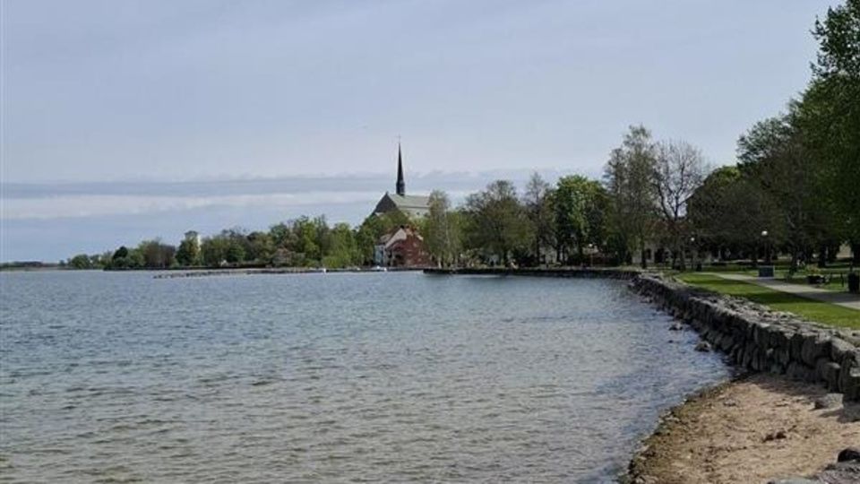 Vi fick prata framtid med nyfikna åttor i Vadstena