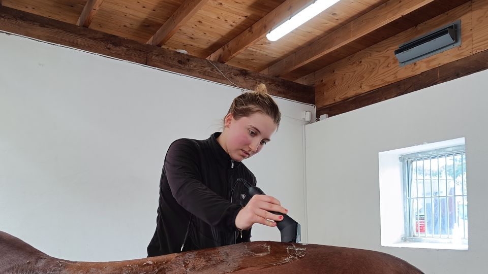 Bianca gör skillnad för hästar under sin APL
