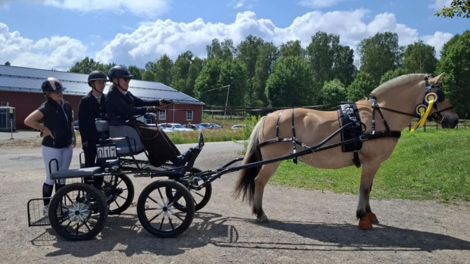 Grattis till sommarens framgångar