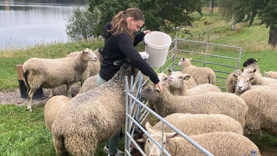 Emma gör praktik på Hågra gård — "Ingen dag är den andra lik"