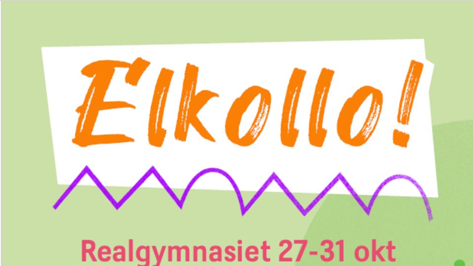 Realgymnasiet är med och arrangerar Elkollo för unga
