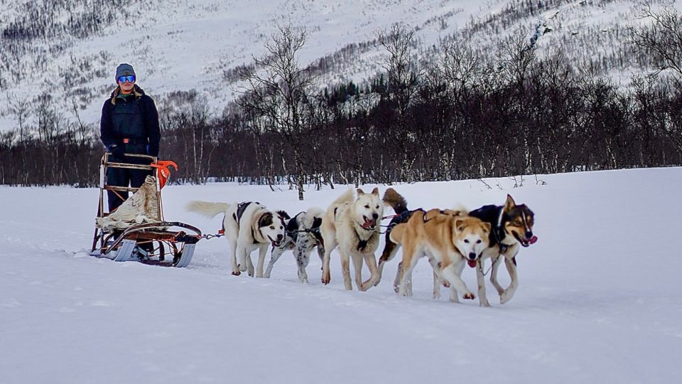 Sofia jobbar som hundspannsguide