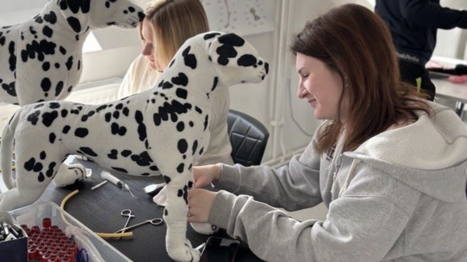 Träffa Jossan som läser Sällskapsdjur