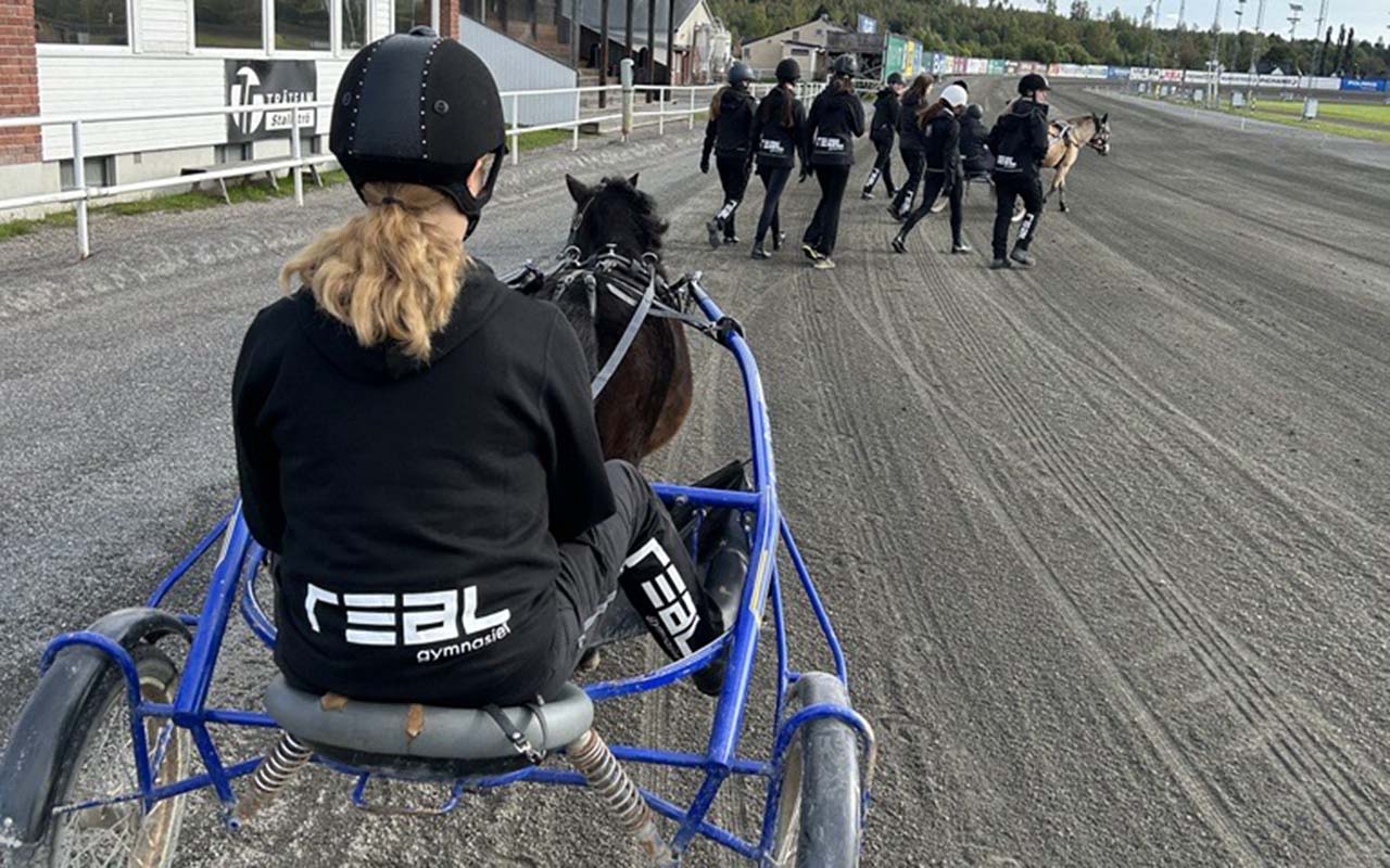 I årskurs 1 samläser Ridning och Trav och samtliga elever får köra på Bergsåkers travbana. 