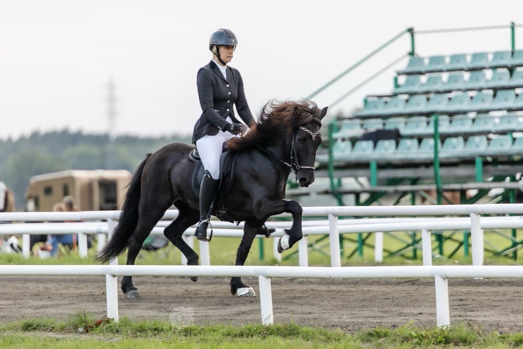 Sara Kilsgård som rider SM på islandshäst