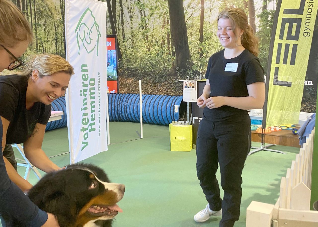 Hunden Sandro träffade Viveka första gången när han var 12 veckor. 