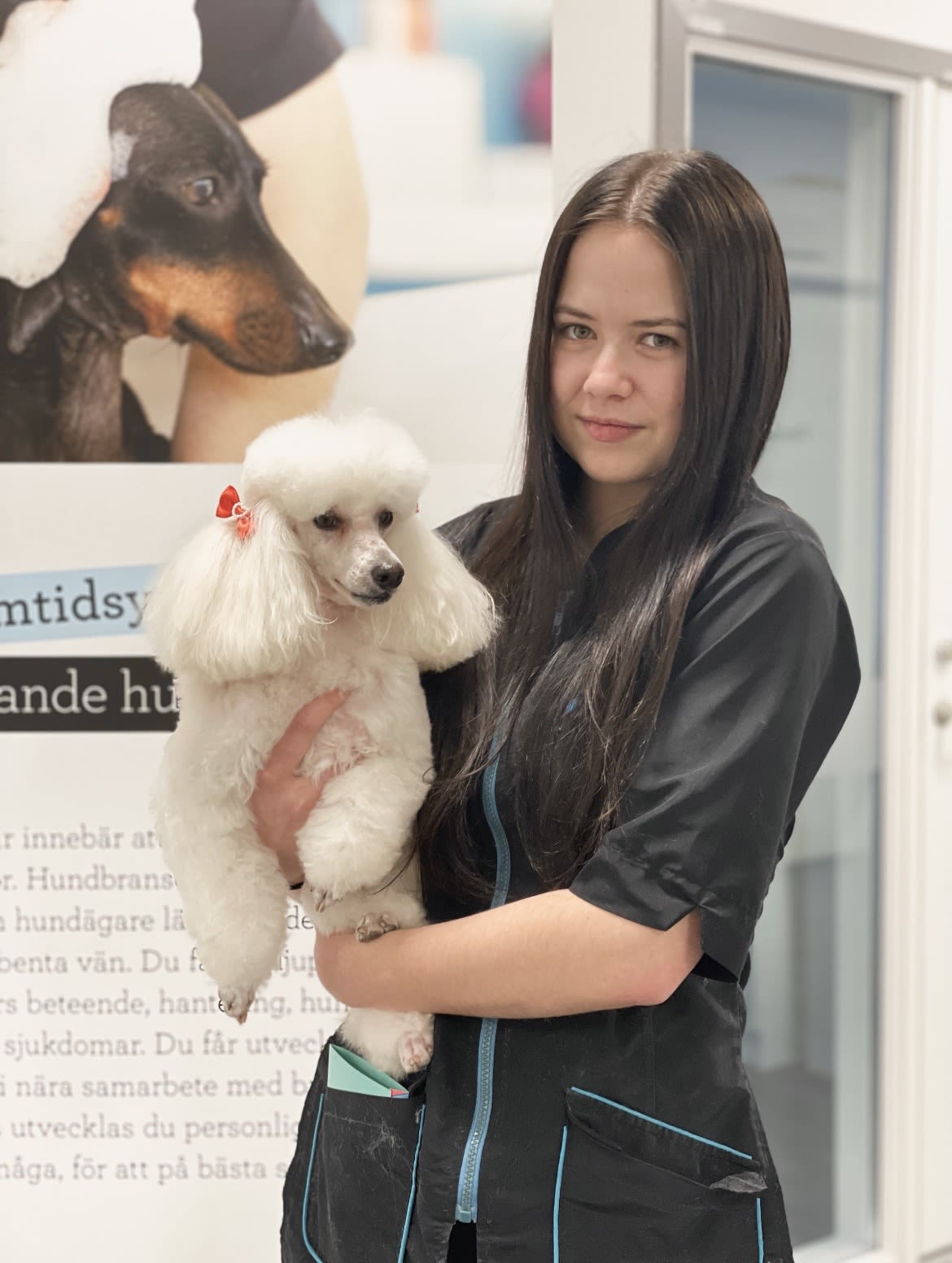 Karin som hade sin utlands-APL som hundfrisör på Irland.