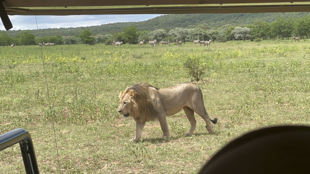 De mötte många djur under sin tid i Sydafrika.