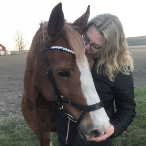 Diplomering till hästskötare