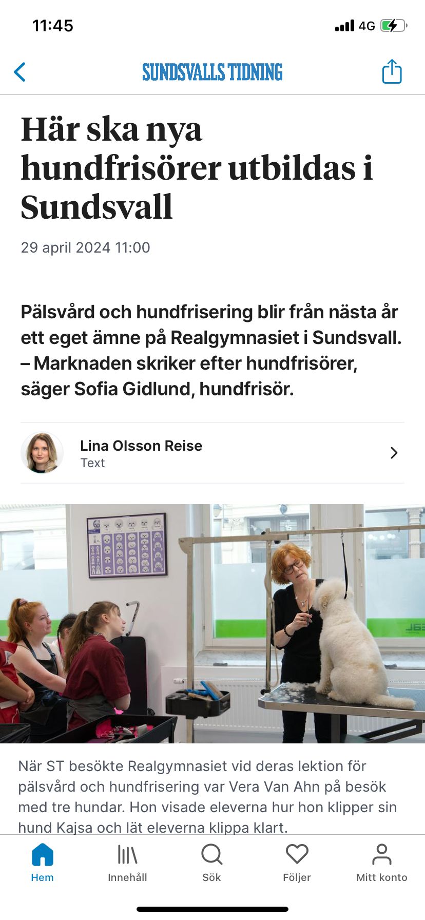 https://www.st.nu/2024-04-29/har-ska-nya-hundfrisorer-utbildas-i-sundsvall/