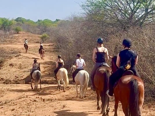 Ridtur på African Dream Horse Safari
