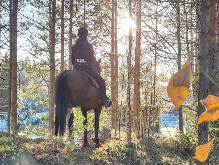 Linnea på sin APL-plats på Rånisgården i Boden med hästen Jardim