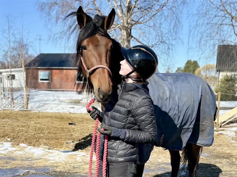 Linnea och hästen Magic Caviar under en profildag på Travskolan Bodentravet i åk 1
