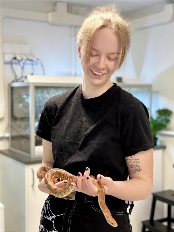 Linnea och majsormen Diego i skolans djuravdelning