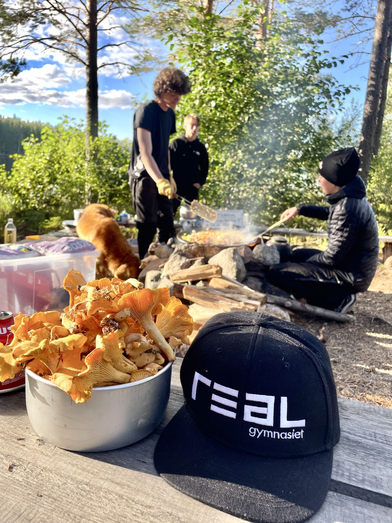 Guld i skogen!