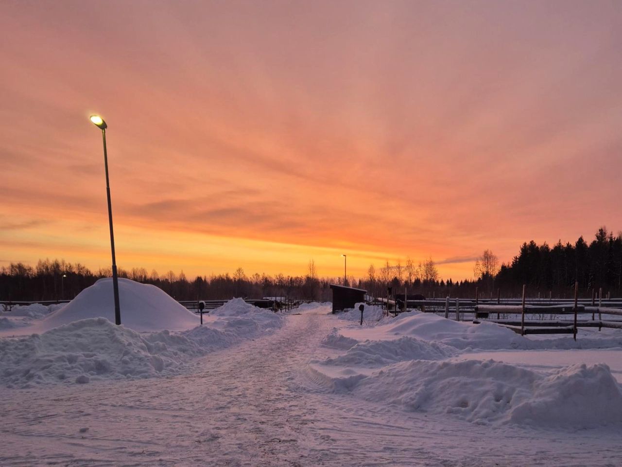 Soluppgång på Luleå ridklubb under Jennikas APL