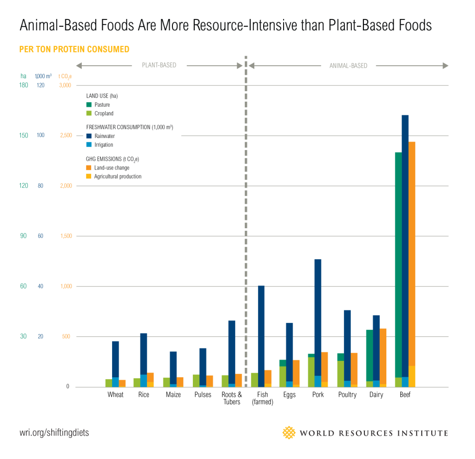 animal-based foods more resource-intensive than plant-based foods