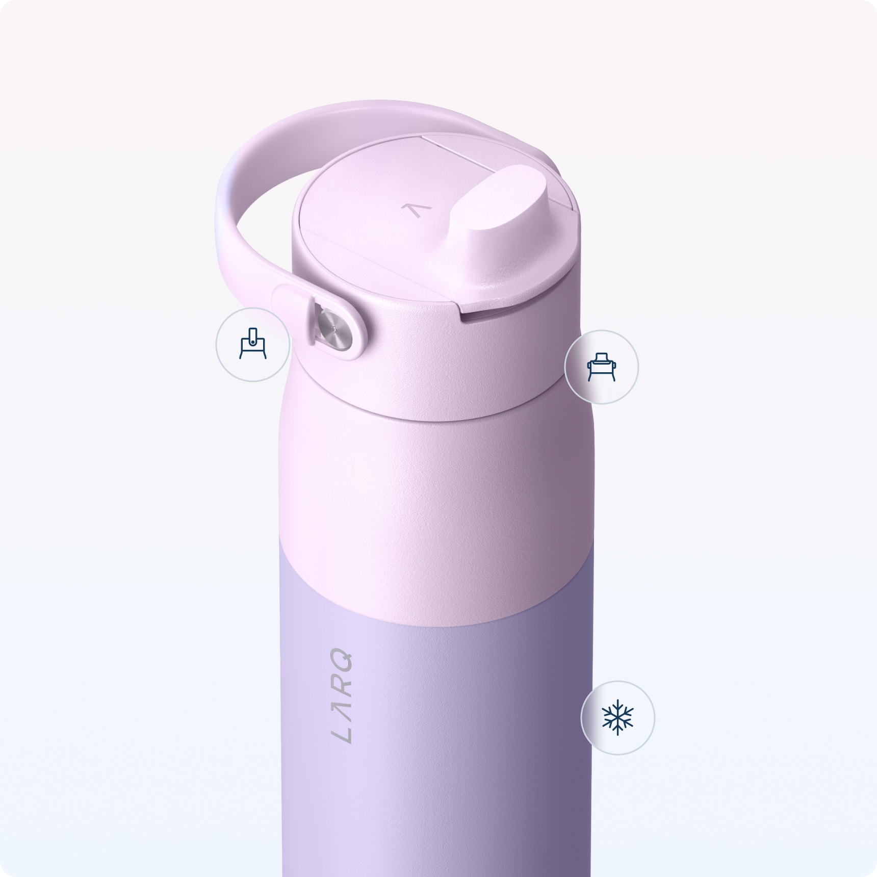 https://www.livelarq.com