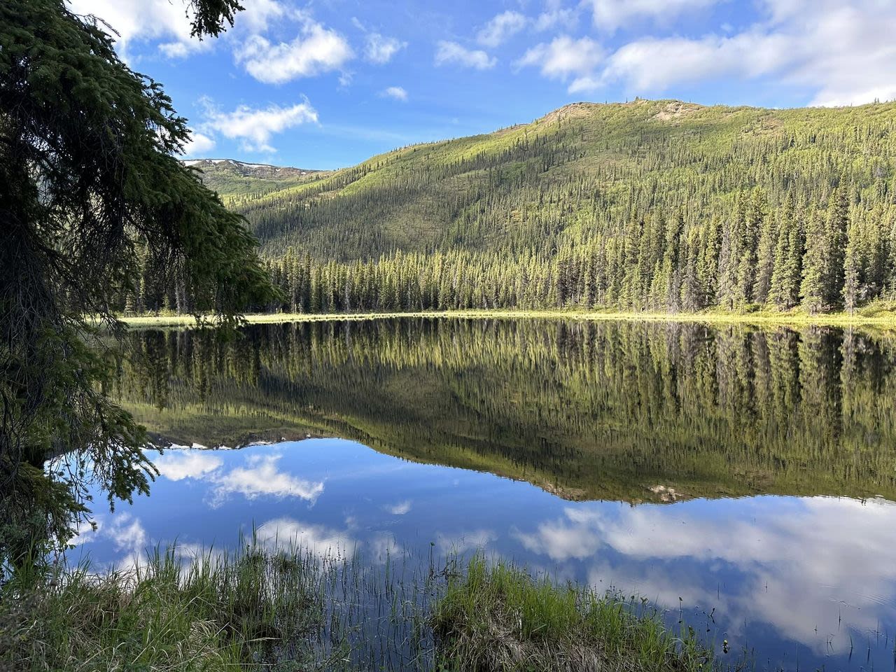 Triple Lakes Denali National Park