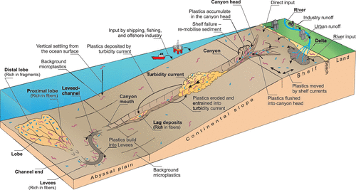 Illustration showing how plastic waste ends up in the ocean