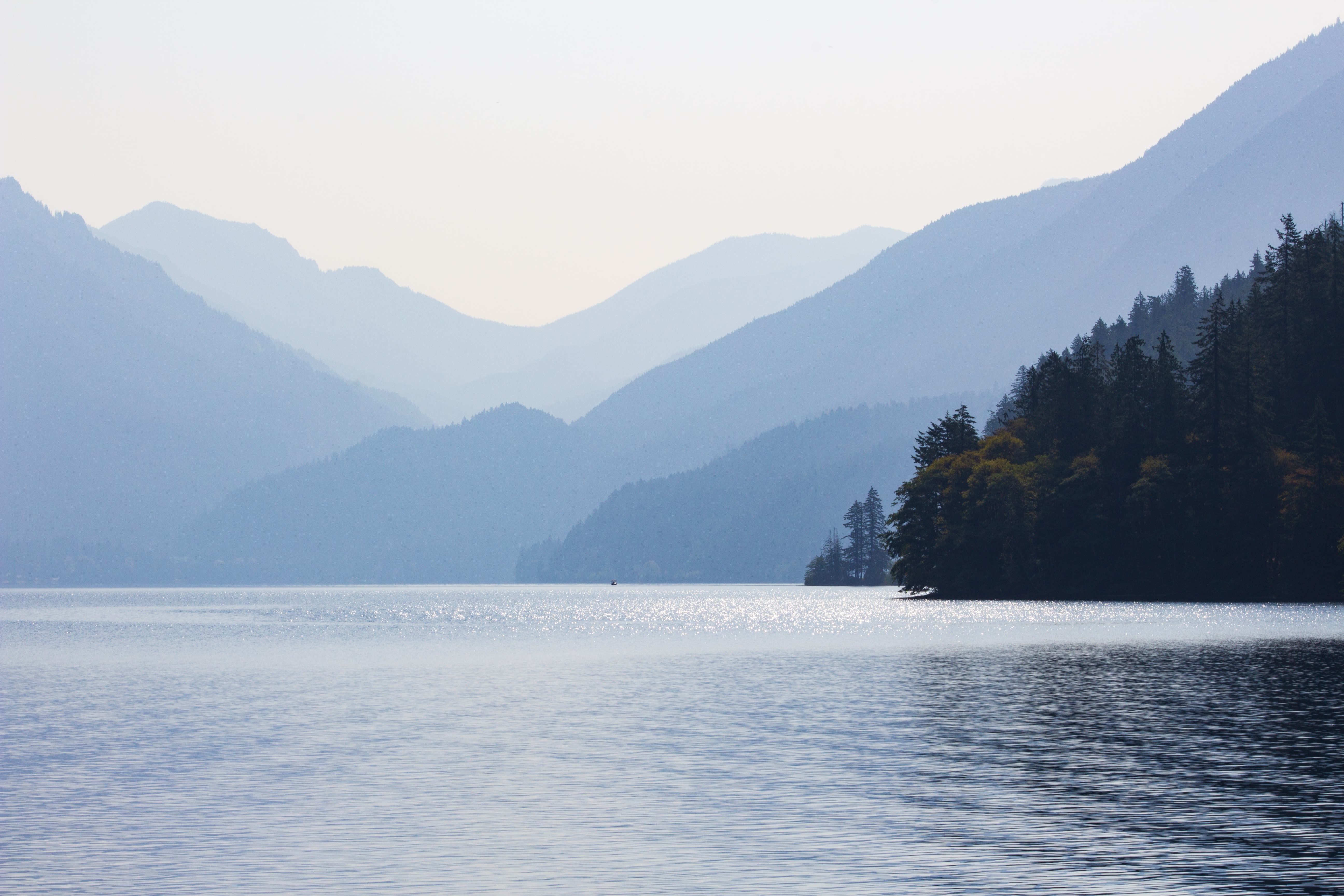 Lake crescent, Olympic national park