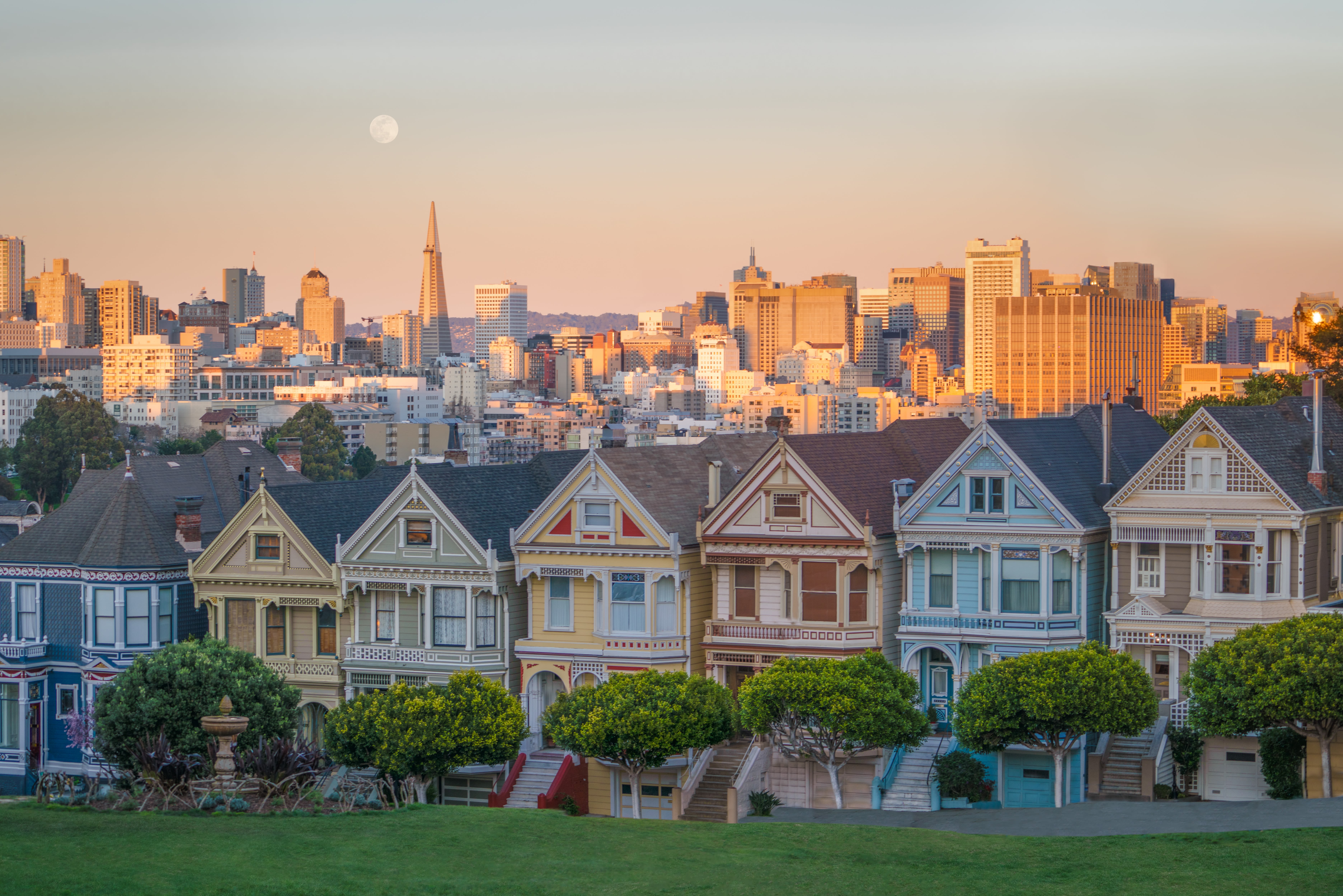 painted ladies photo by joshua sortino