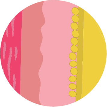 Illustration of post-CoolSculpting treated fat cells