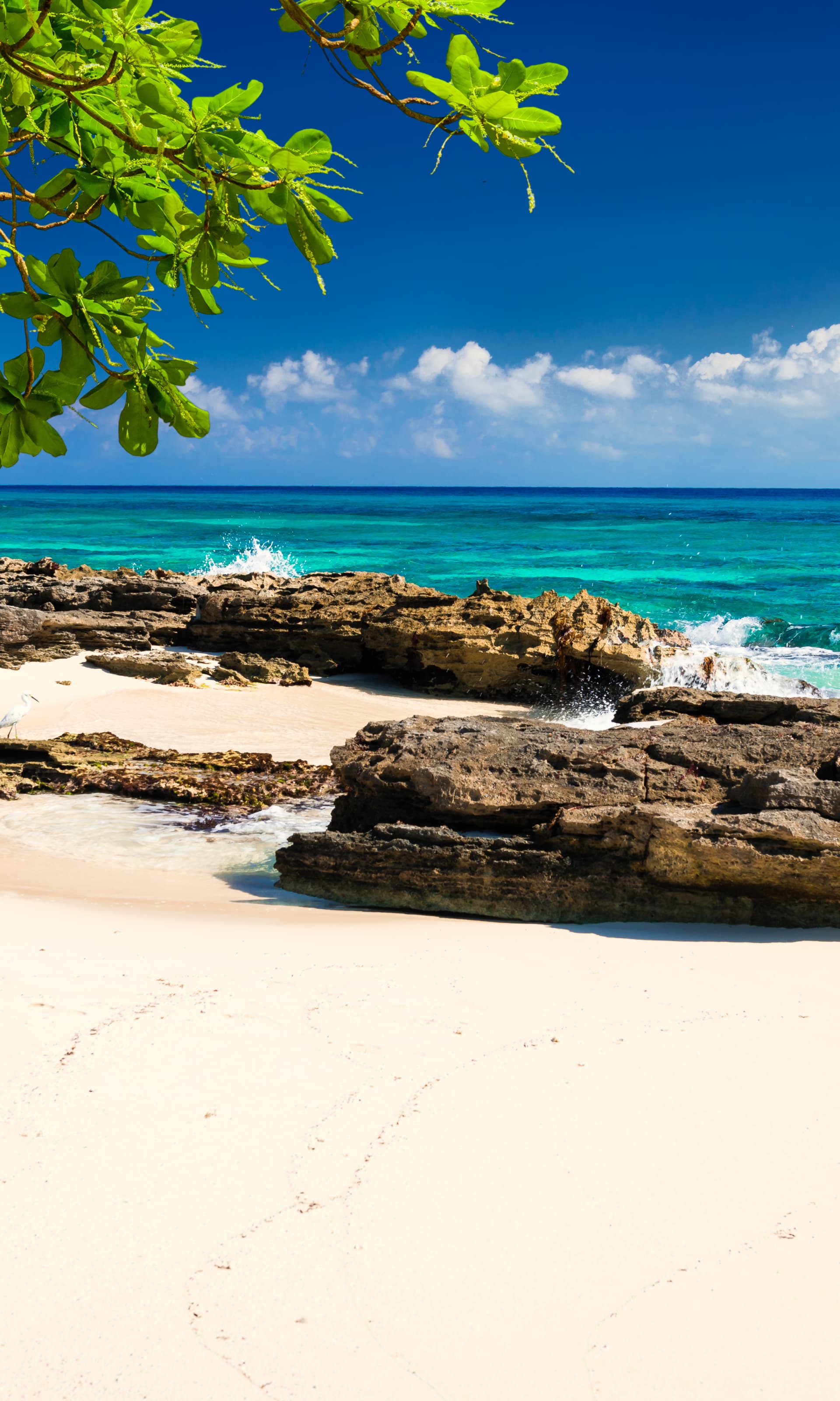 Winter sun holidays 2025/2025 Holidays Deals