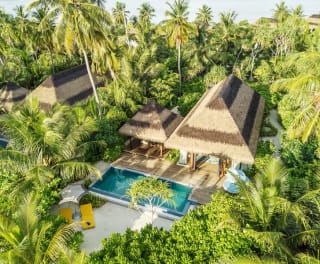 Urlaub Maamutaa Island im Pullman Maldives Maamutaa Resort
