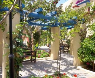 Urlaub Sisi im Palm Bay Hotel