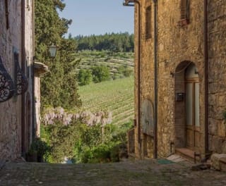 Urlaub Castellina in Chianti im Castello Di Fonterutoli