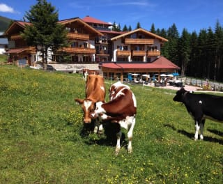  Wald im Pinzgau im Der Königsleitner Hotel & Chalets