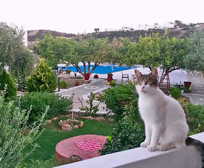 Hotelbild 10 für Casa Garden