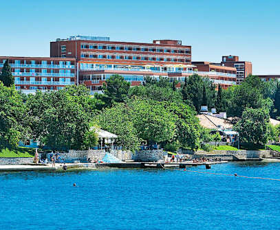 Hotelbild 8 für Hotel Albatros Plava Laguna