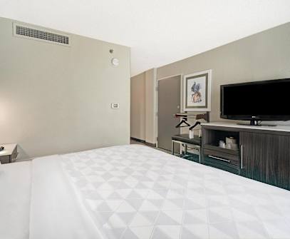 Hotelbild 6 für Holiday Inn Memphis-Downtown (Beale St.)