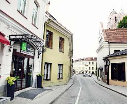 Hotelbild 1 für City Hotels Rudninkai