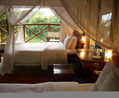 Hotelbild 4 für Fig Tree Camp - Maasai Mara