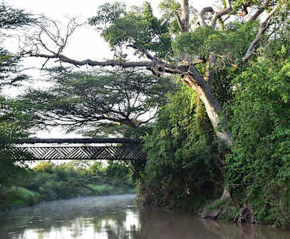 Hotelbild 10 für Fig Tree Camp - Maasai Mara