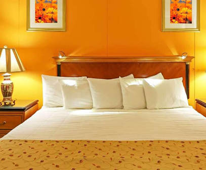 Hotelbild 3 für M Star North Canton - Hall of Fame