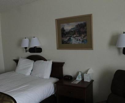 Hotelbild 10 für Lone Tree Inn