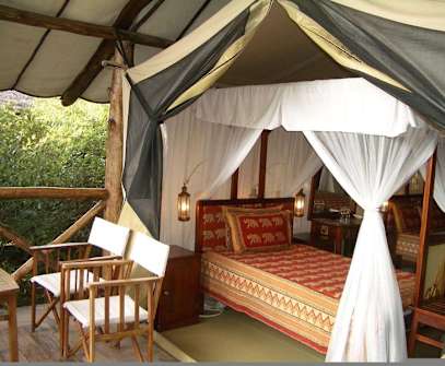 Hotelbild 7 für Fig Tree Camp - Maasai Mara
