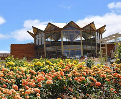Hotelbild 6 für Lyndoch Hill